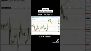 USDCAD best strategy 30m Technical Chart Analysis KFTrading#kftrading #fypシ #fyp #forex