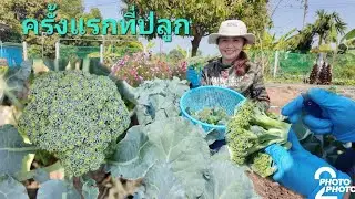 18 มกราคม ค.ศ. 2026