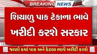 Will purchase winter crops at support price || Ravi Pak Tekana Bhave Kahrdi || MSP RAVI PAK