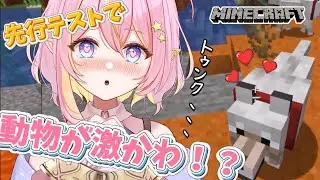 【Minecraft 】動物が激かわ！？みんなで遊んでいくっ！！【GalaxySTAR  0期生/ほしのあーたん】 #Vtuber #shorts