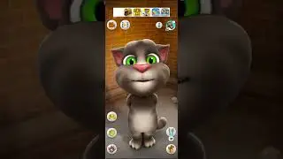 Talking Tom Cat Says 