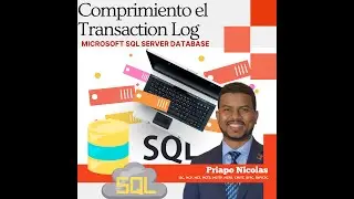 Comprimir Transaction Log - SQL Server Database