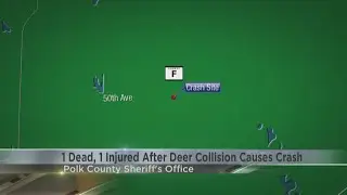 Deer cause fatal roll-over car crash in Polk County