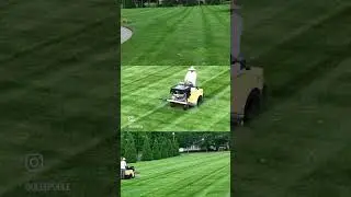 Z Spray Max #satisfyingvideo #comment