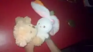 plush video p1