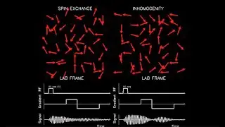 MRI: Physics and Image Creation - Gradient Echo (Part 12/18)