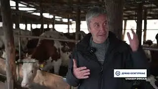 Složno, uspešno! ep. 301 23.12.2025. Porodica Maslar, mlečno govedarstvo, selo Bunar