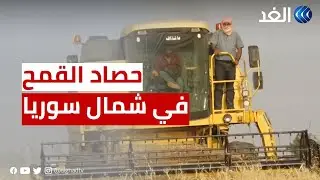 بعد خسائر السنوات الماضية.. عودة الحياة لمحصول القمح في الشمال السوري