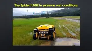 Spider Safety Video