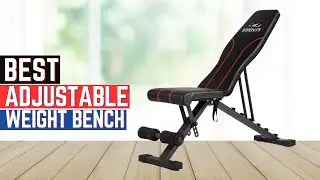 Top 5 Best Adjustable Weight Bench in 2024 [Buying Guide]