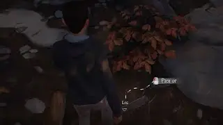 Life is Strange 2 - Gather Wood to Build a Fire