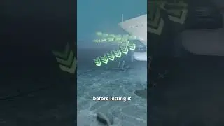 Как гигантские якоря удерживают огромные корабли 😮