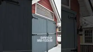 A Quiet Walk to Feed the Birds in the Snow ❄️ | Molly's Firehouse Garden Tour
