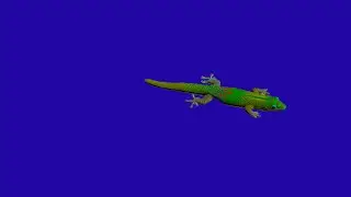 Green Screen Animation | The Lizards | DLG Puppet Show | Free Download | No Copyright | Royalty Free