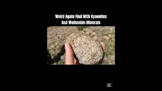 Weird Agate Find With @kyannites and @jaygenohara #agate #rockhounding #rockhounds