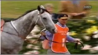 1999 TEN Network VRC Spring Carnival Emirates Stakes Day