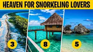 Top 10 Locations In French Polynesia For Snorkeling!