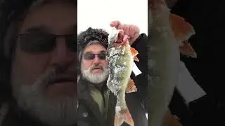 KILLER FISH 007 !!! TAGANKA 2023 !!! #fishing #carp #carpfishing #angling #bassfishing