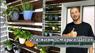 СТАРЫЕ ДОСКИ 2я жизнь. Зеленый уголок своими руками
