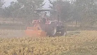 SMS(straw management system)