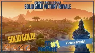 SOLID GOLD VICTORY ROYALE | Fortnite | PS4