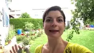 Toniques 100 % naturels aux hydrolats bio