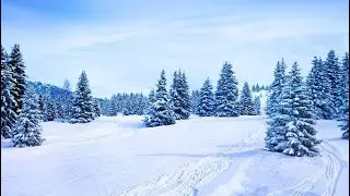 یک روز خوب برفی در کوه بو بو  میلبورن استرالیا