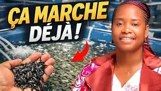 On a construit une &eacute;closerie de poisson-chat en Afrique... Et &ccedil;a fonctionne !