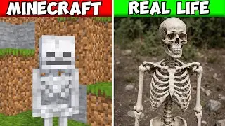 РЕАЛЬНАЯ ЖИЗНЬ Minecraft &ndash; Сравнение фотореалистичных миров - Minecraft!