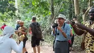 Tafi Atome Monkey Sanctuary And Cultural Village @voltatourgiants@gmail.com