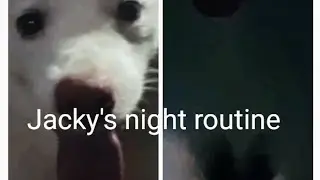 Jacky's Night routine