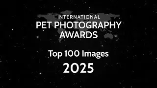 The Best Pet Photos of 2025