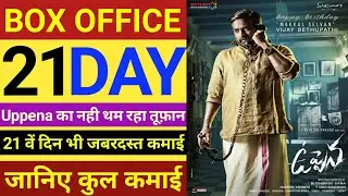 Uppena Day 21 Box Office Collection, Vijay Sethupathi, Panjaa Vaishnav Tej, Krithi Shetty.