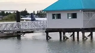 Seair seaplane landing at Seair Tours in Richmond