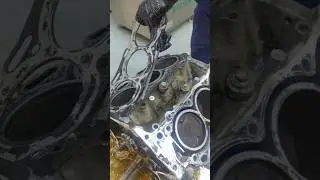 Highlander V6 Engine Overhaul!