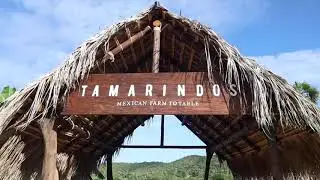 Weekend at Tamarindos