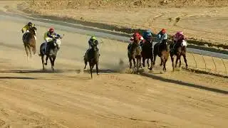 2022 BRC Birdsville Race 6 _ 𝙏𝘼𝘽 𝘽𝙄𝙍𝘿𝙎𝙑𝙄𝙇𝙇𝙀 𝘾𝙐𝙋  OPEN Handicap