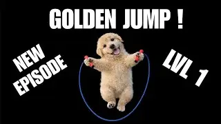 IMMERSIVE INTERACTIVE WARM UP 🐶🔥 | ORIGINAL GOLDEN FITNESS
