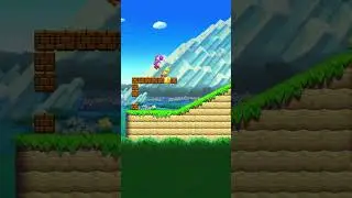 MARIO Runs into PURPLE Yoshi in World 3-3?