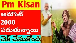 pm kisan amount 2000 credit in account | pm kisan update |syrantv