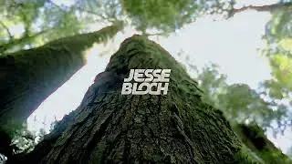 Des'ree - Life (Jesse Bloch Remix)
