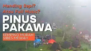 Lagi !! Kemping di HUTAN PINUS PAKAWA | Perkebunan Tarumajaya Diselimuti Kabut Tebal, SYAHDU Tapi..