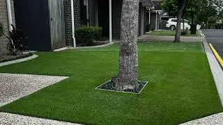 Sir Grange Zoysia Lawn Reno Fail