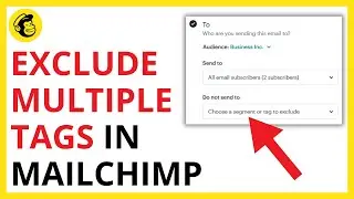 How to Exclude Multiple Tags in Mailchimp [QUICK GUIDE]