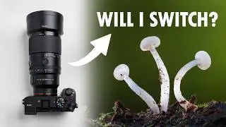 I Never Thought I&rsquo;d Use Sony For Macro Photography (A7CR + 100mm F/2.8 GM)