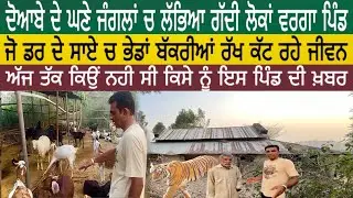 ਦੋਆਬੇ ਦੇ ਘਣੇ ਜੰਗਲਾਂ ਚ ਲੱਭਿਆ ਗੱਦੀ ਲੋਕਾਂ ਵਰਗਾ ਪਿੰਡ | ਜੋ ਡਰ ਦੇ ਸਾਏ ਚ ਭੇਡਾਂ ਬੱਕਰੀਆਂ ਰੱਖ ਕੱਟ ਰਹੇ ਜੀਵਨ😱😱