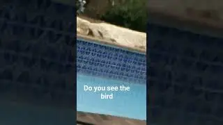 so you see it