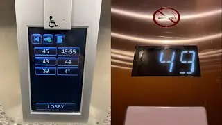 Insane 1200 FPM Schindler Traction High Rise Elevators at the SE Financial Center in Miami, FL