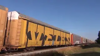 A Rolling ART GALLERY? FEC 101-28 also Brightline BLF702 - RED - 12/28/25