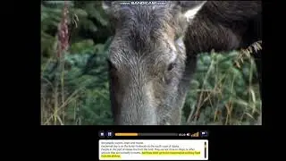 LS Unlock 2 | Unit 1 Alaska